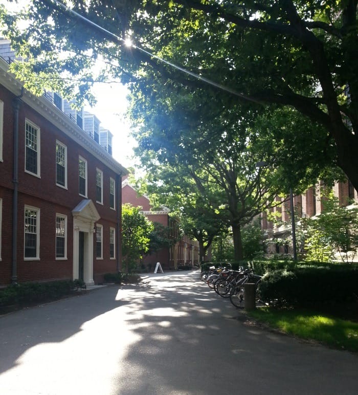 Harvard Yard