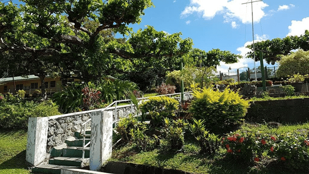 White stone staircase going up slight hill surrounded by well-manicured bushes and tall leafy trees