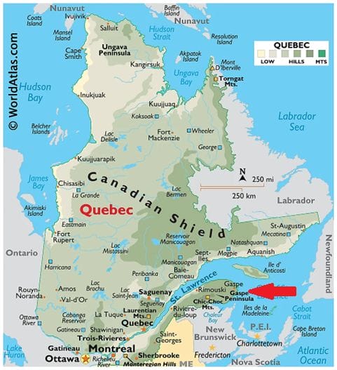 Map of Canadian province of Quebec with the Gaspe Peninsula highlighted by a red arrow. It is located just above New Brunswick. 