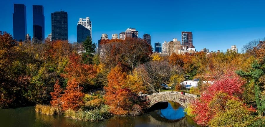 central park new york city