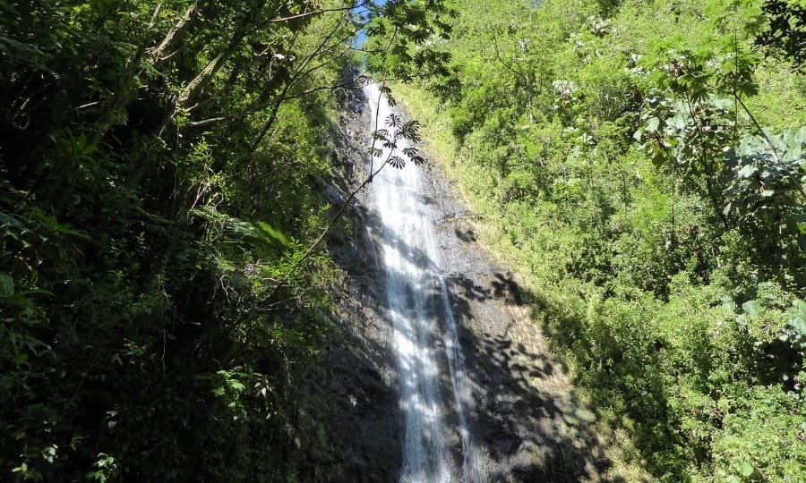 Manoa Falls
