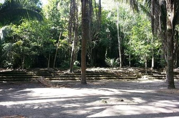 Tall trees surrounding a large platform with 4 stairs leading from the ground to the platform.