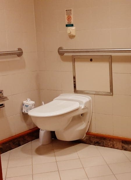 cruise ship toilet