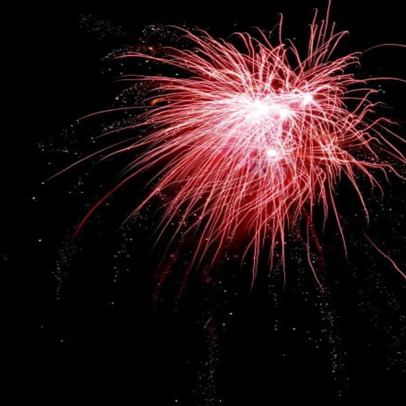 Red firework exploding in the night sky