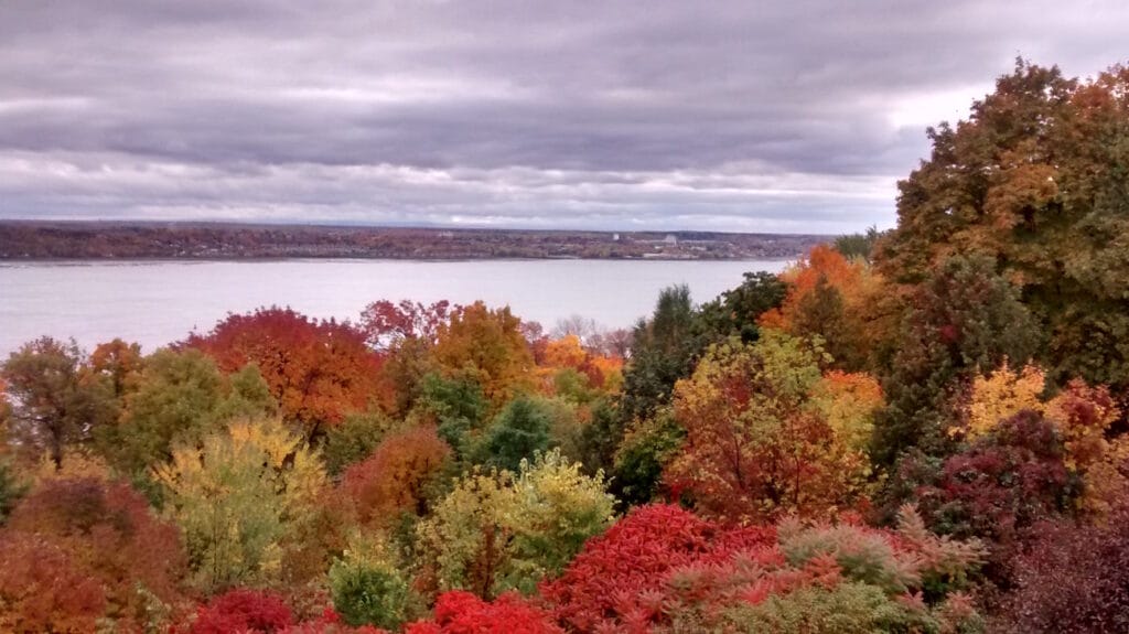 fall eastern canada with tree leaves turning red and gold